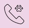 icon pensione per gatti3